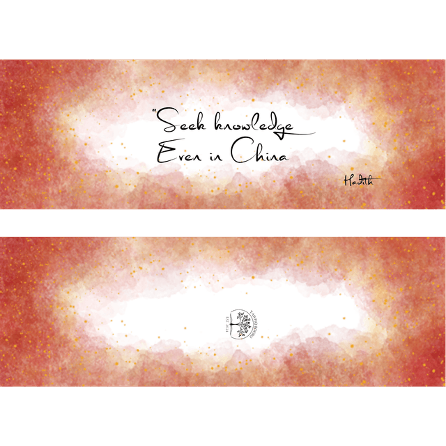 Seek knowledge, even in China bookmark