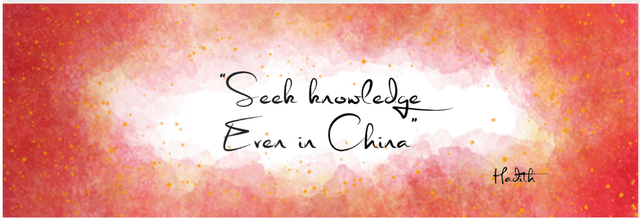 Seek knowledge, even in China bookmark