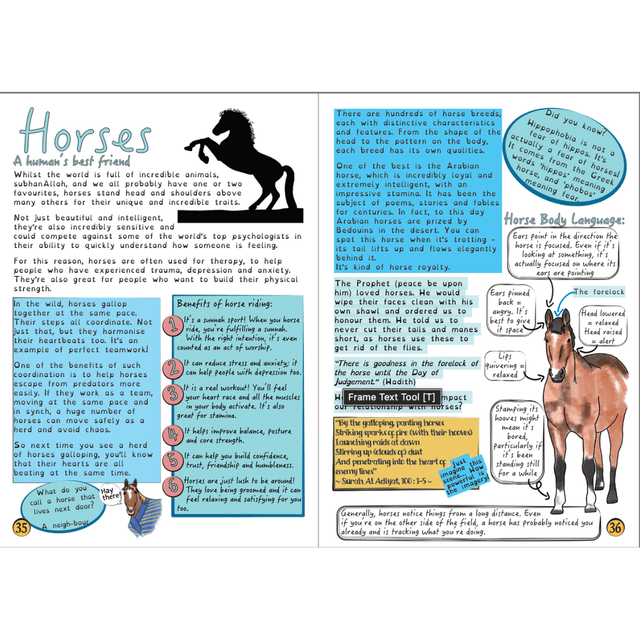 Tawfiq (12-16 yrs) Issue 3