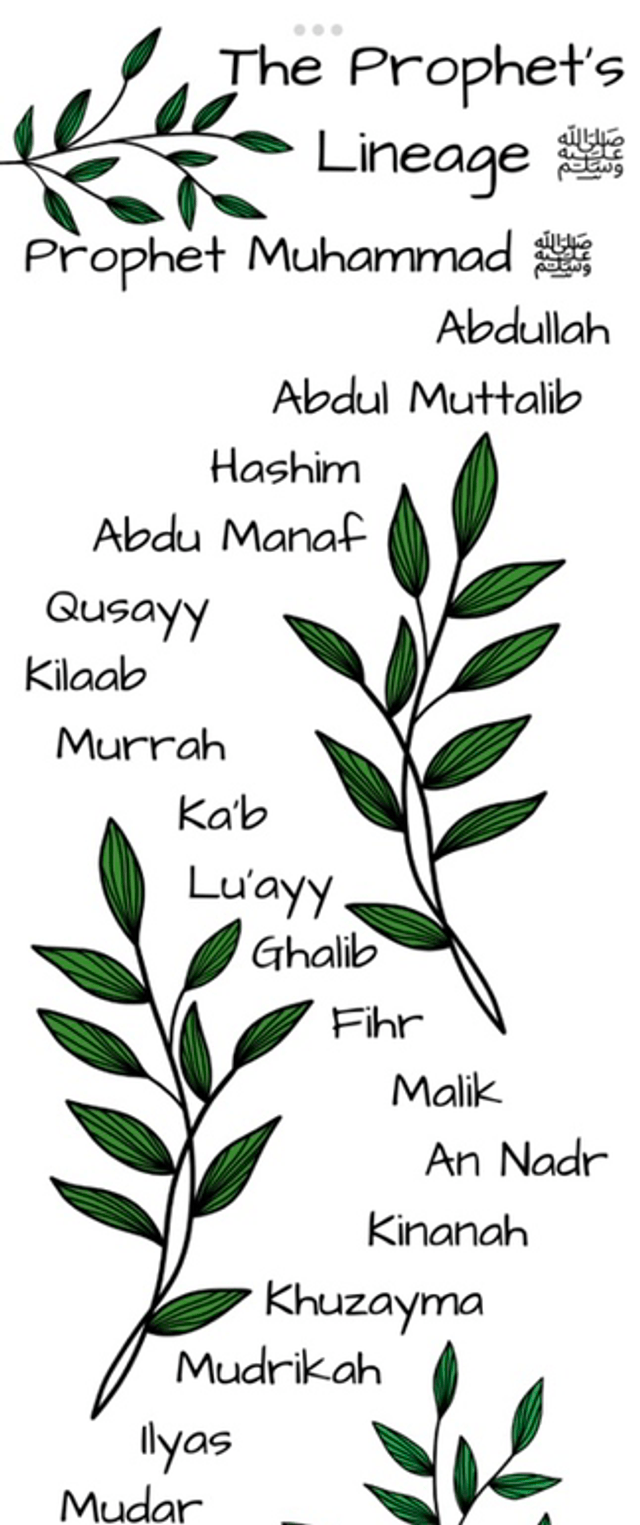 Lineage bookmark